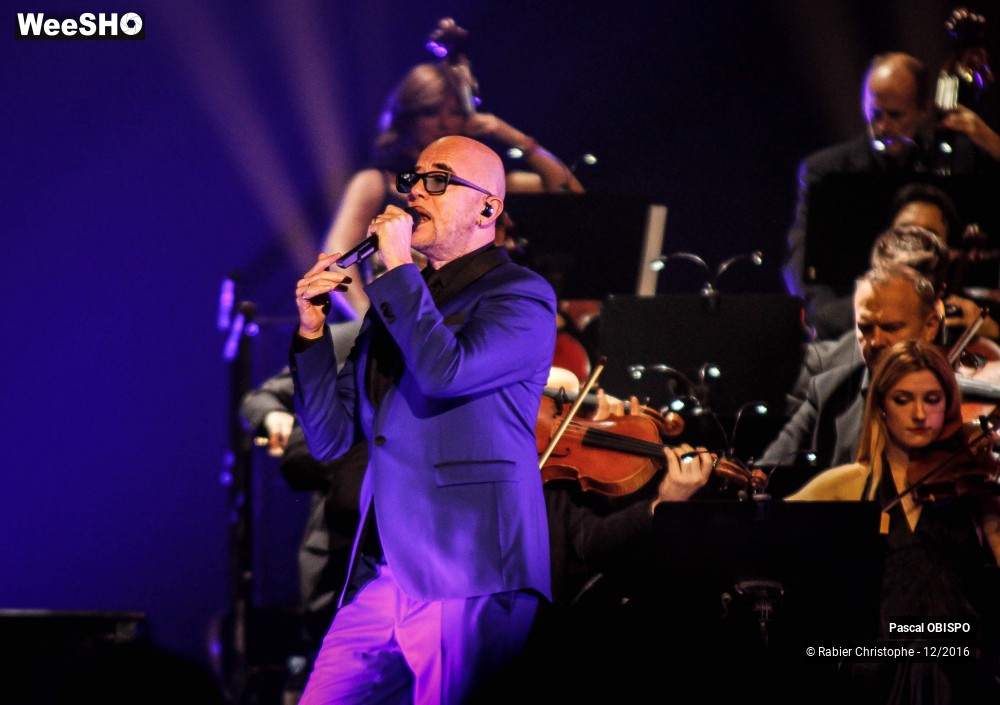 31/41 photos du spectacle Pascal Obispo