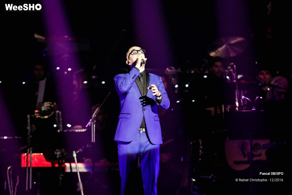 35/41 photos du spectacle Pascal Obispo