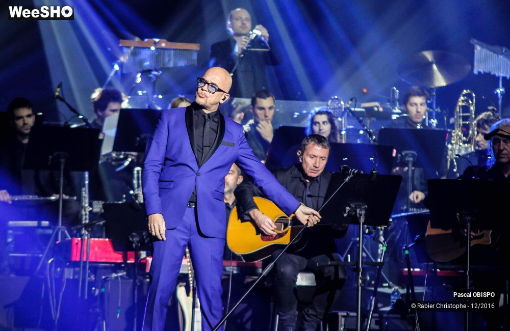 36/41 photos du spectacle Pascal Obispo
