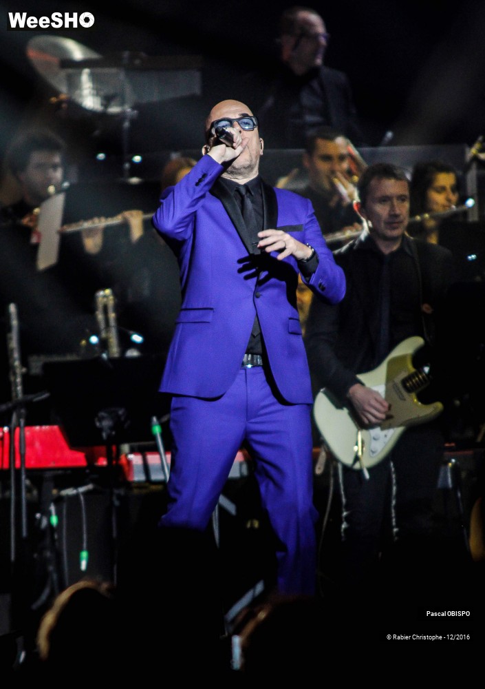 37/41 photos du spectacle Pascal Obispo