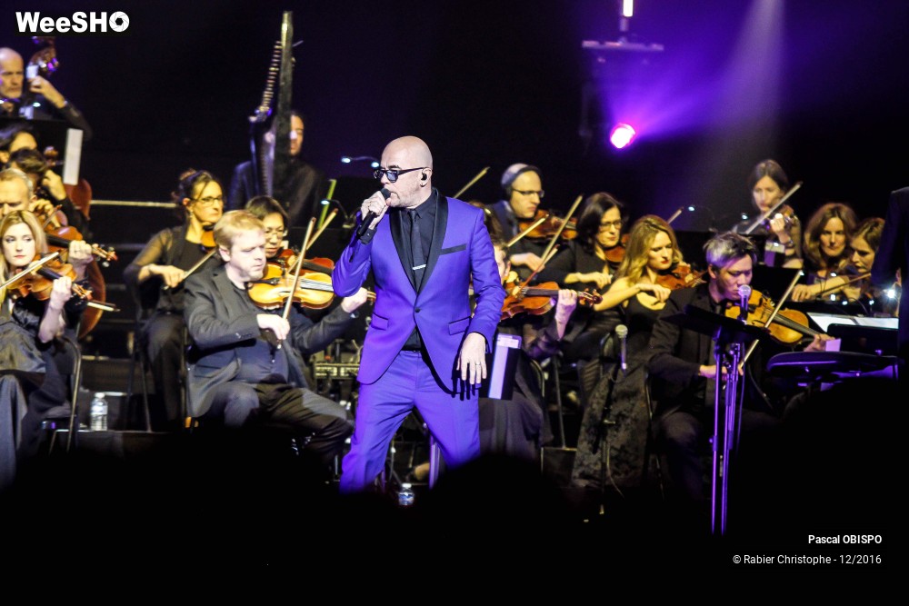 39/41 photos du spectacle Pascal Obispo