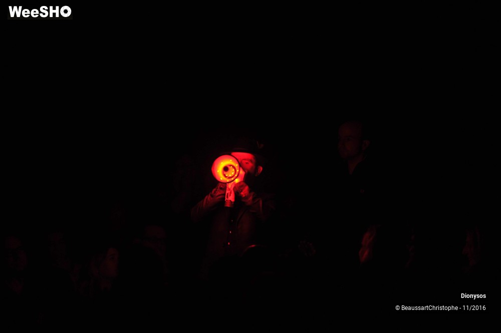 23/27 photos du spectacle Dionysos
