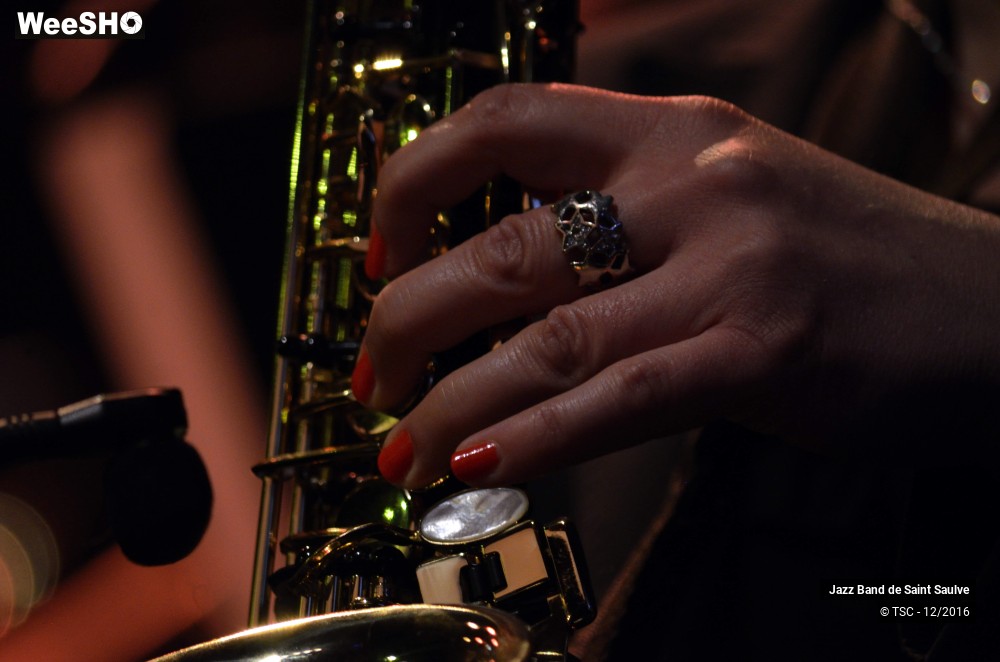 1/45 photos du spectacle ENTRE JAZZ & CHANSONS - Concert au profit des Restos du Coeur
