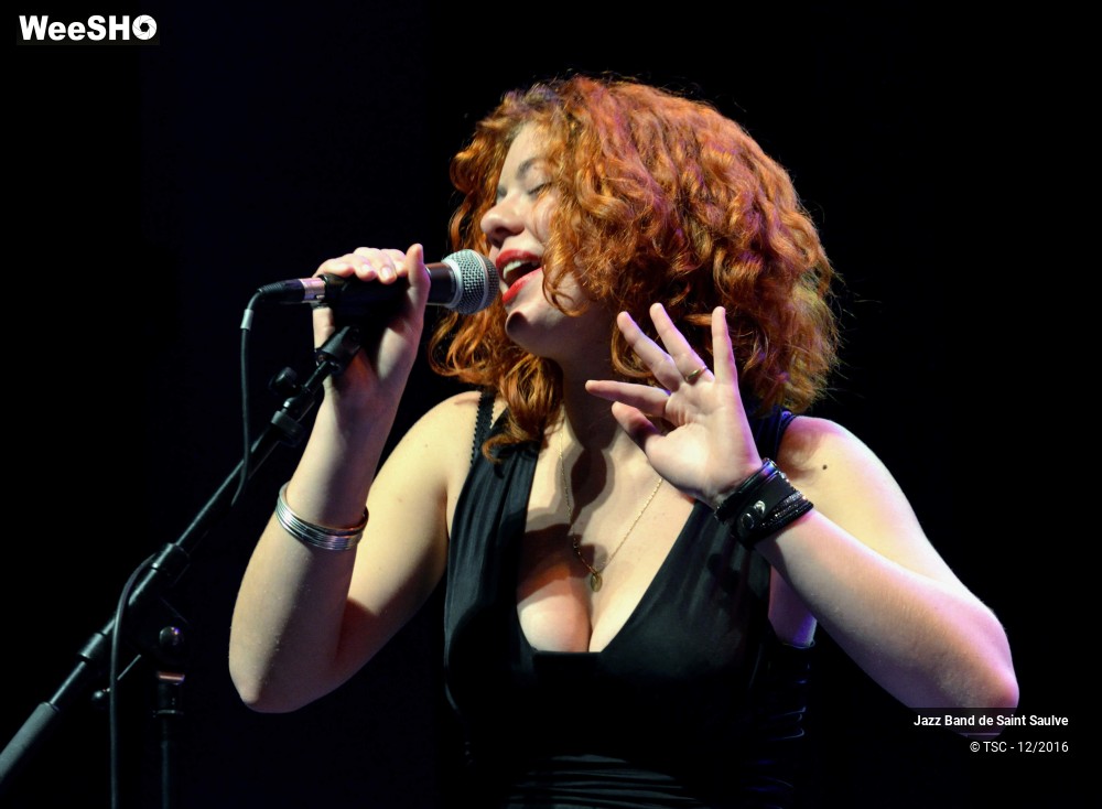 8/45 photos du spectacle ENTRE JAZZ & CHANSONS - Concert au profit des Restos du Coeur