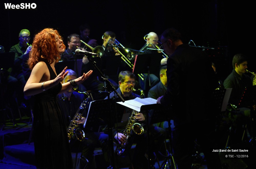 27/45 photos du spectacle ENTRE JAZZ & CHANSONS - Concert au profit des Restos du Coeur
