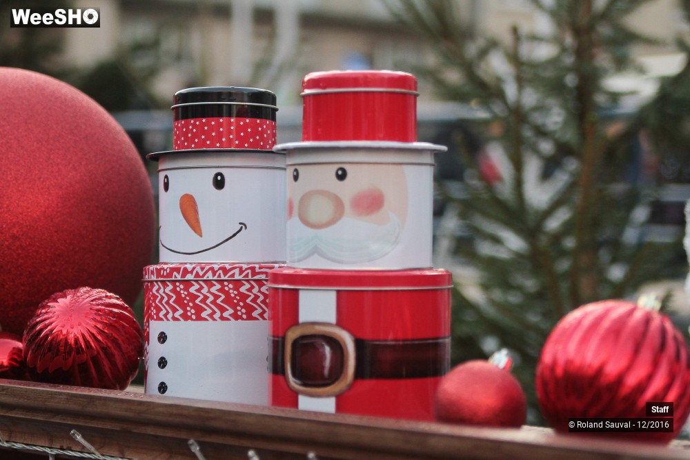 4/49 photos du spectacle voyage au coeur du village de noel