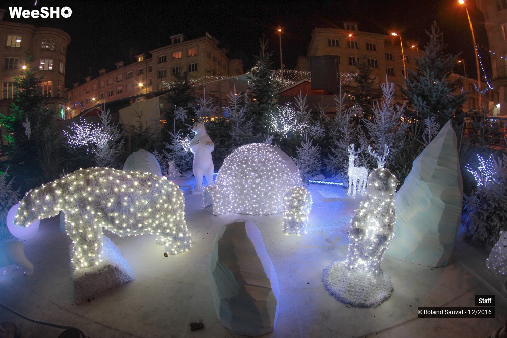 17/49 photos du spectacle voyage au coeur du village de noel