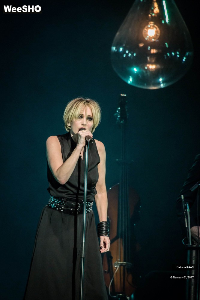 22/34 photos du spectacle Patricia Kaas