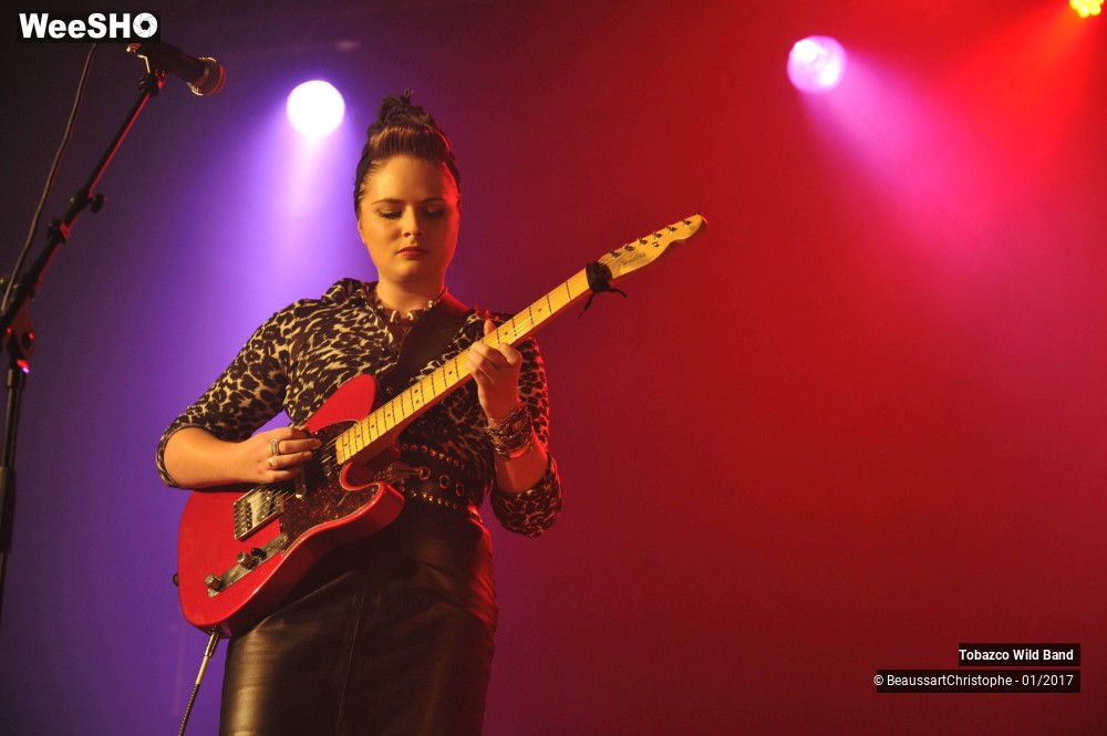 1/42 photos du spectacle Tobazco Wild Band