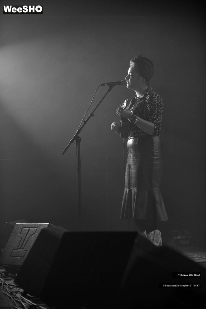 2/42 photos du spectacle Tobazco Wild Band