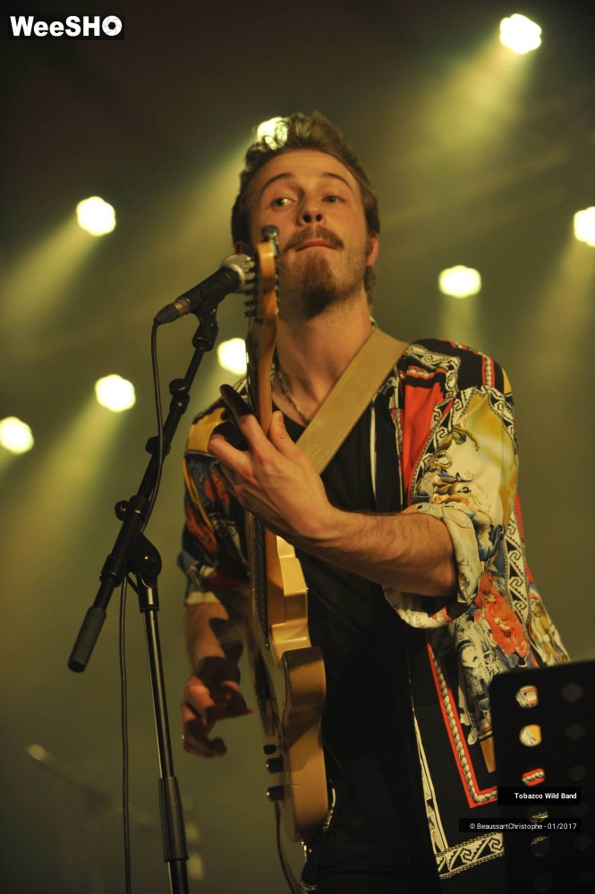 4/42 photos du spectacle Tobazco Wild Band