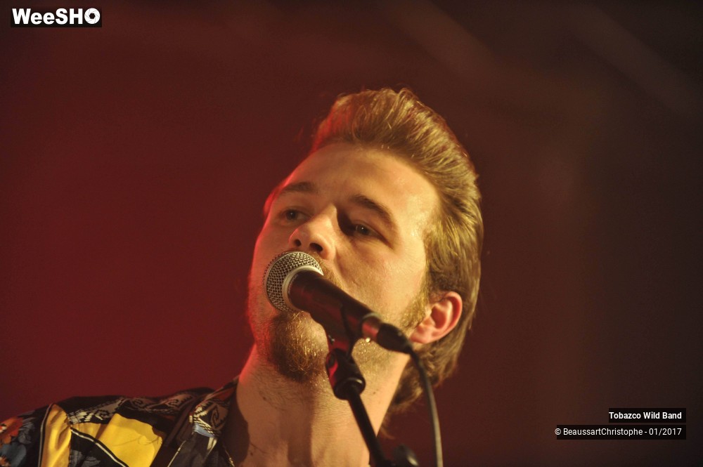 5/42 photos du spectacle Tobazco Wild Band