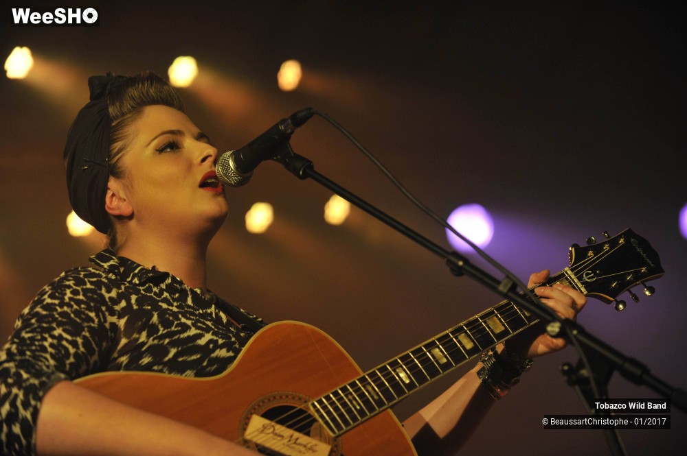 6/42 photos du spectacle Tobazco Wild Band