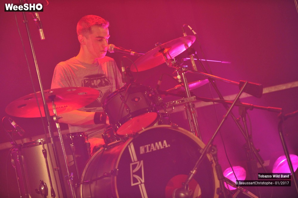7/42 photos du spectacle Tobazco Wild Band