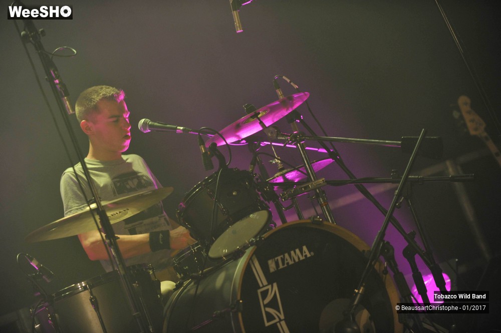 8/42 photos du spectacle Tobazco Wild Band