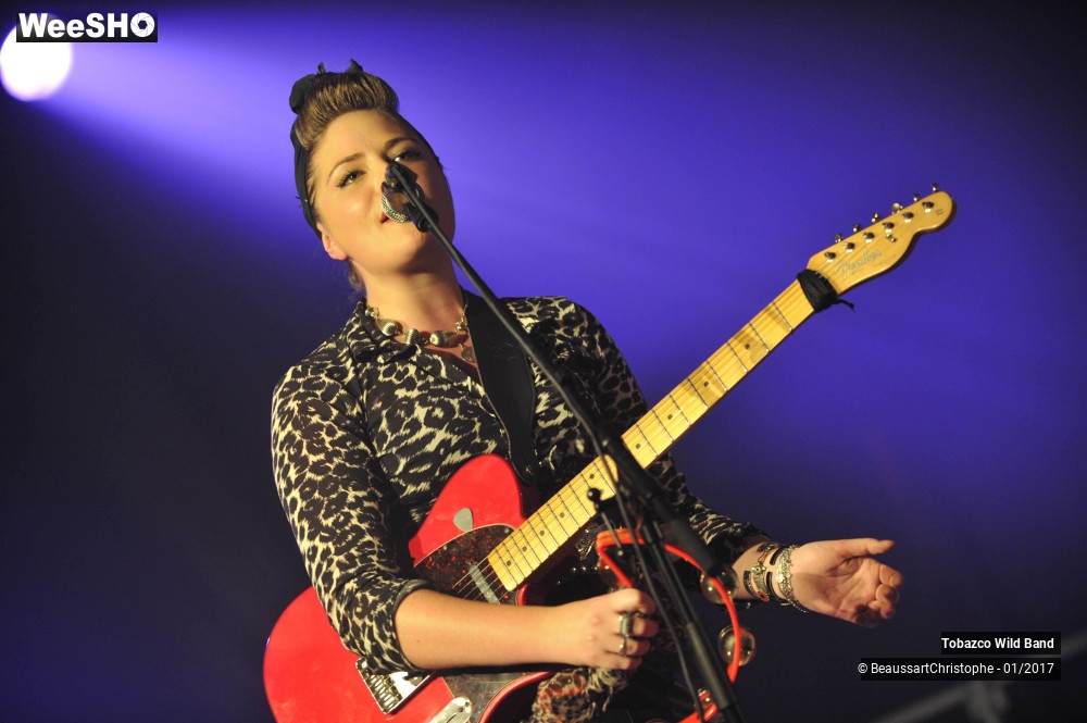 10/42 photos du spectacle Tobazco Wild Band