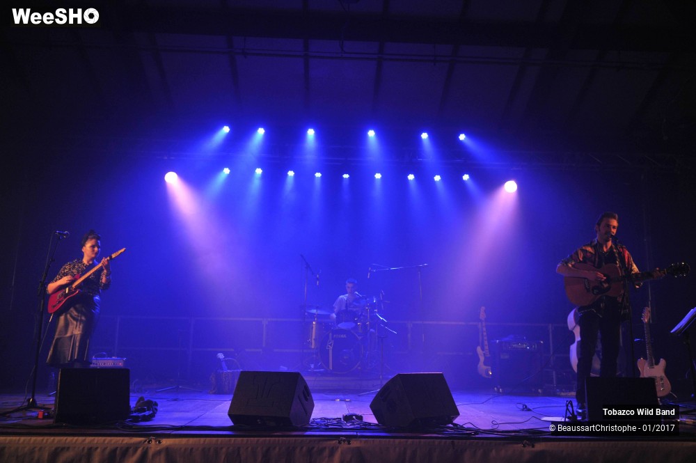 19/42 photos du spectacle Tobazco Wild Band