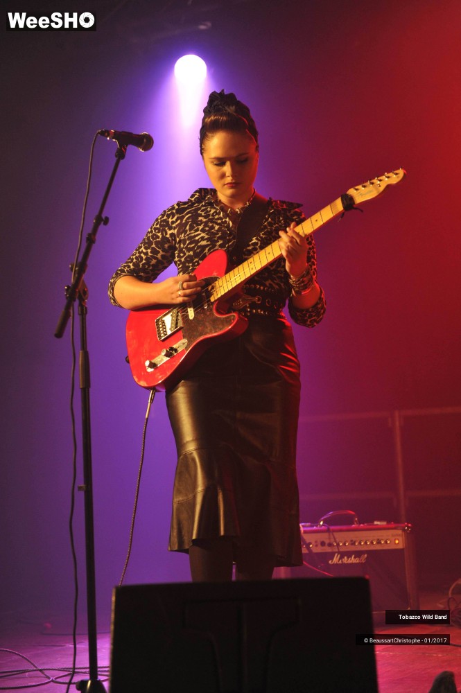 21/42 photos du spectacle Tobazco Wild Band