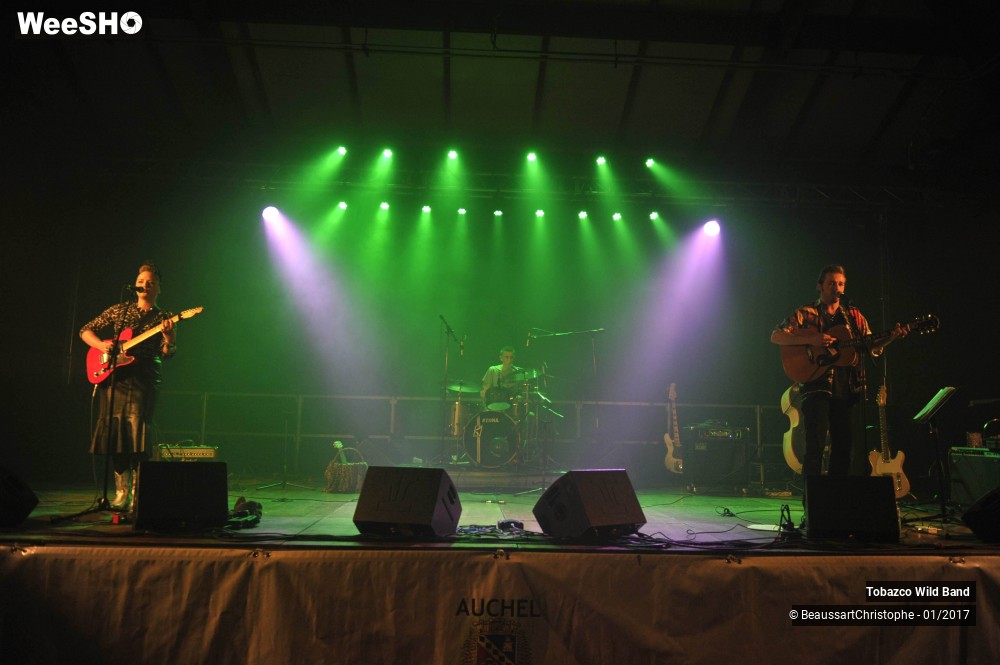 25/42 photos du spectacle Tobazco Wild Band