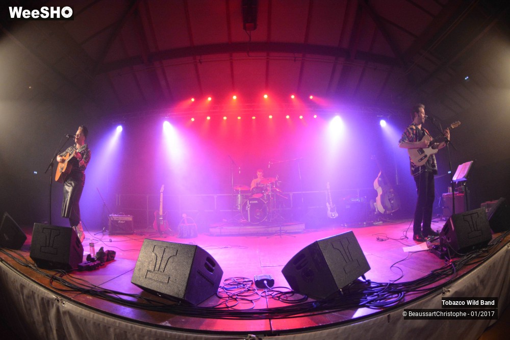 29/42 photos du spectacle Tobazco Wild Band