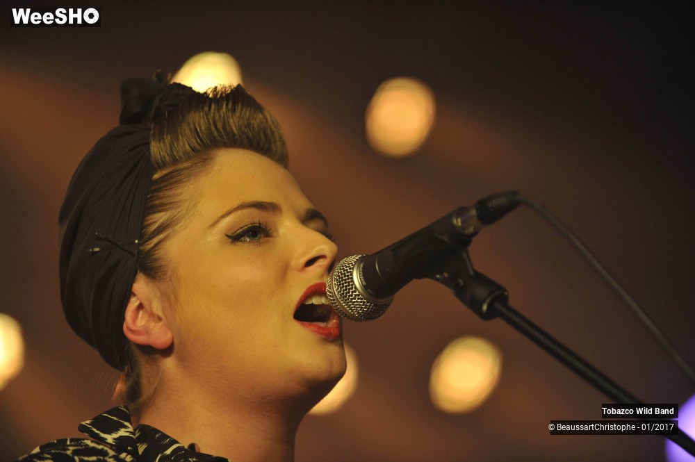 38/42 photos du spectacle Tobazco Wild Band