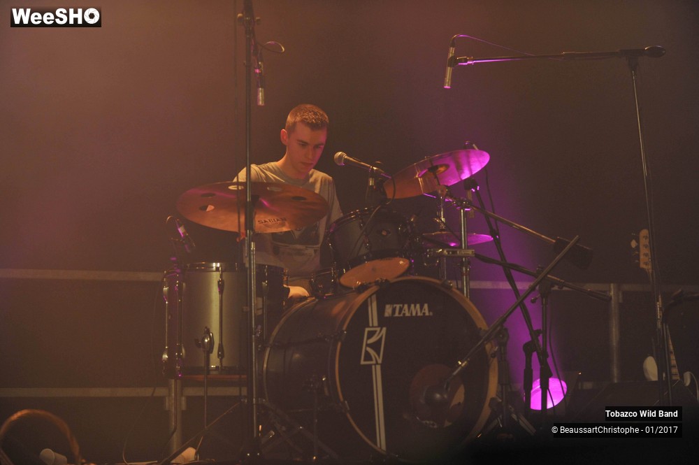 39/42 photos du spectacle Tobazco Wild Band