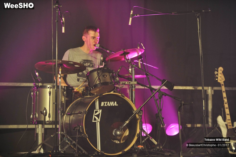 40/42 photos du spectacle Tobazco Wild Band