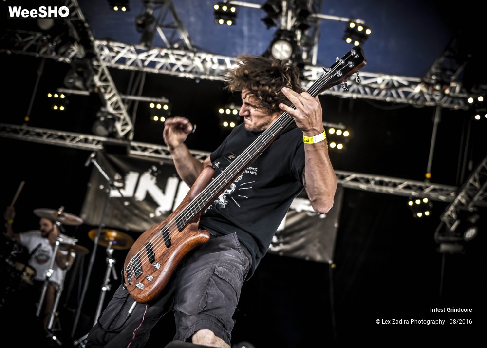 3/5 photos du spectacle Infest Grindcore