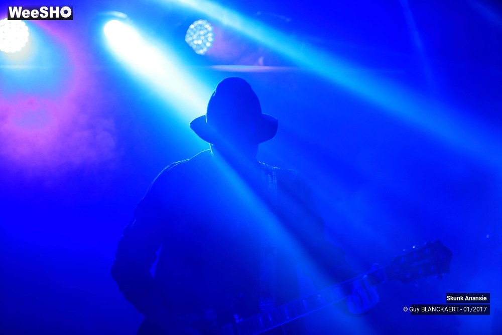 3/8 photos du spectacle Skunk Anansie