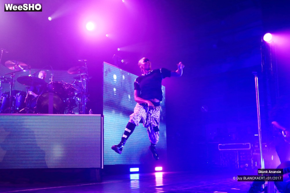 4/8 photos du spectacle Skunk Anansie