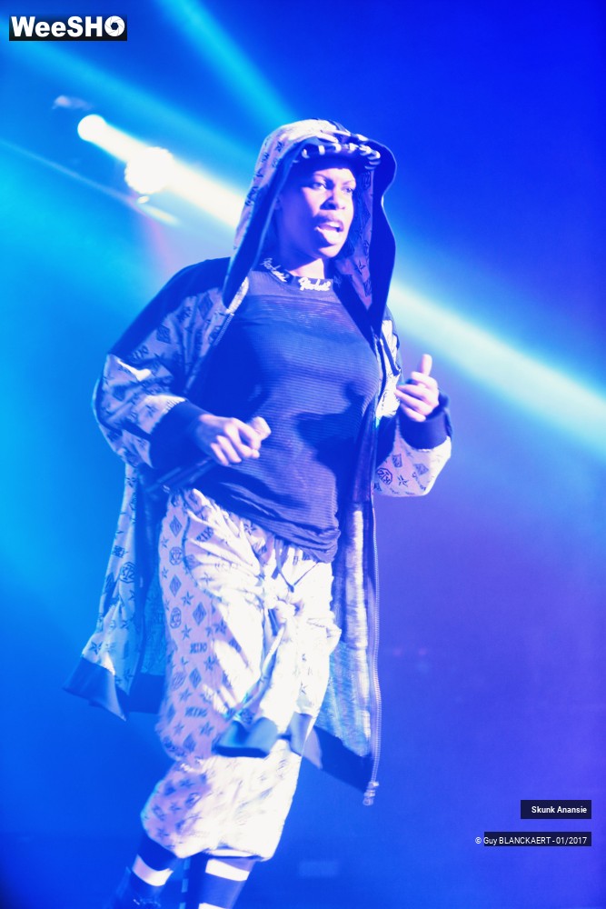 5/8 photos du spectacle Skunk Anansie