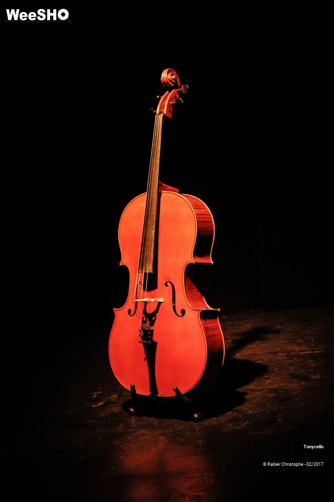 1/35 photos du spectacle Tonycello