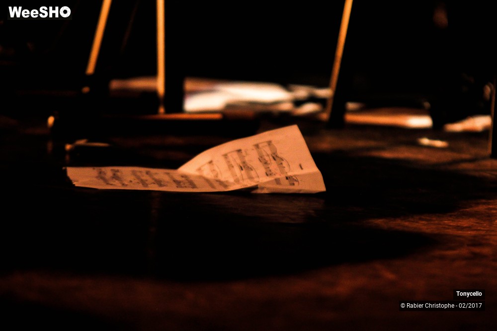 20/35 photos du spectacle Tonycello