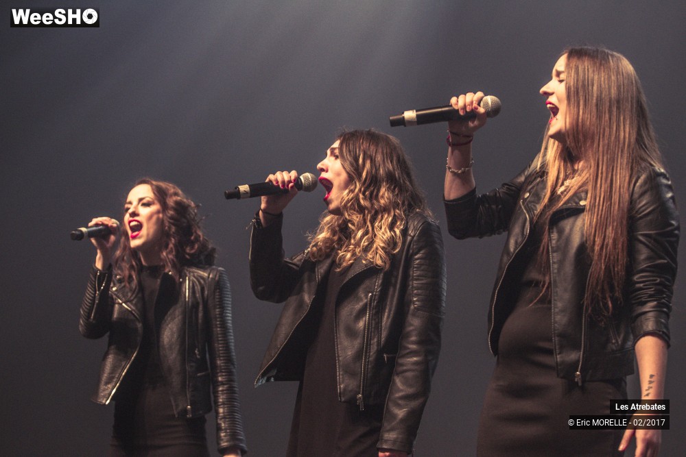 25/50 photos du spectacle Les Atrebates