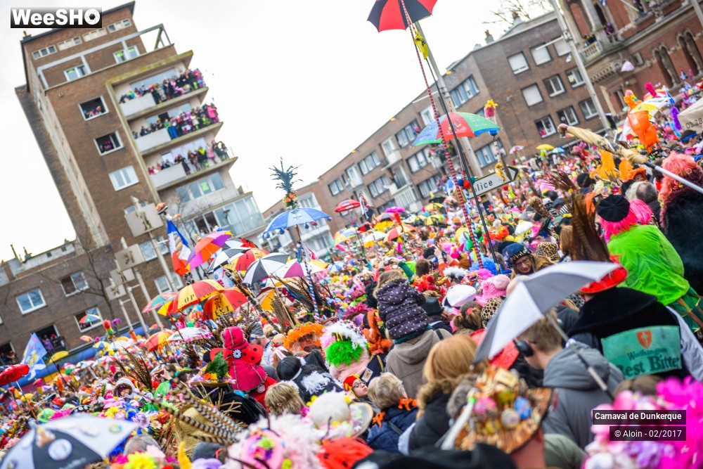 15/29 photos du spectacle Carnaval de Dunkerque partie 2