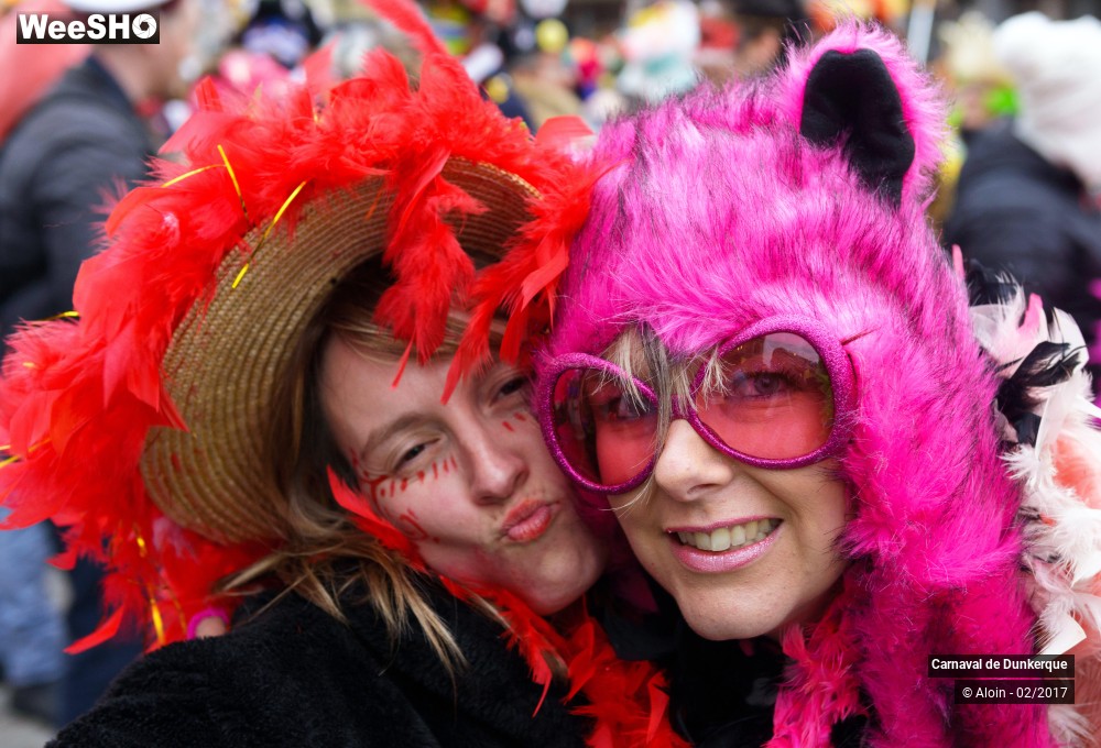 27/29 photos du spectacle Carnaval de Dunkerque partie 2