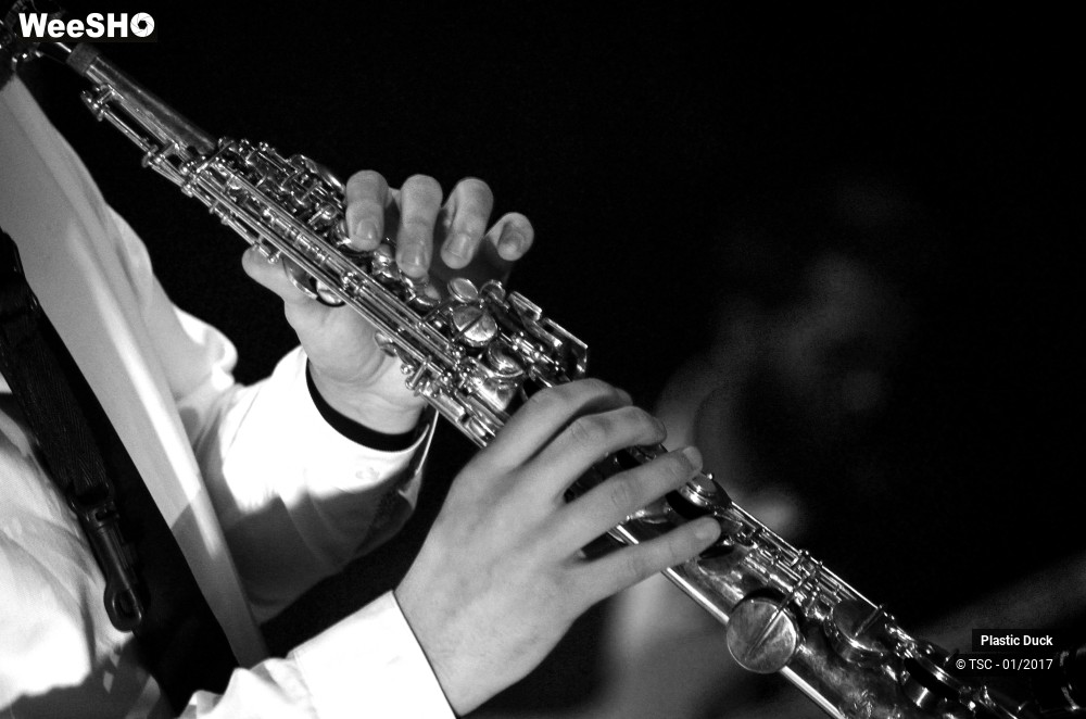 9/15 photos du spectacle Plastic Duck