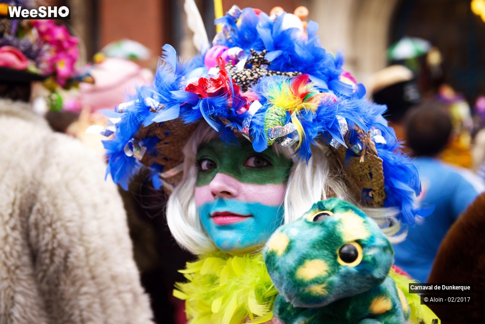 21/21 photos du spectacle Carnaval de Dunkerque partie 1