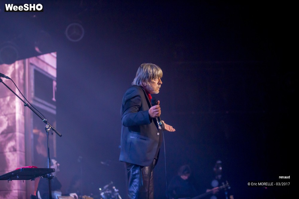 29/50 photos du spectacle Renaud