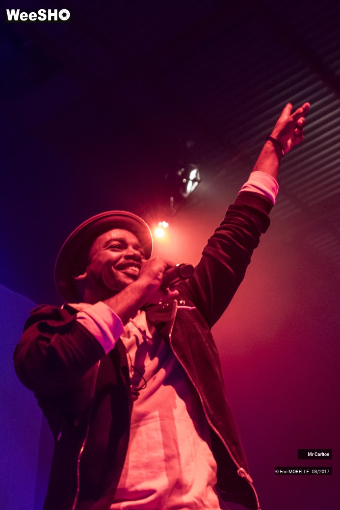 37/50 photos du spectacle Mr Carlton