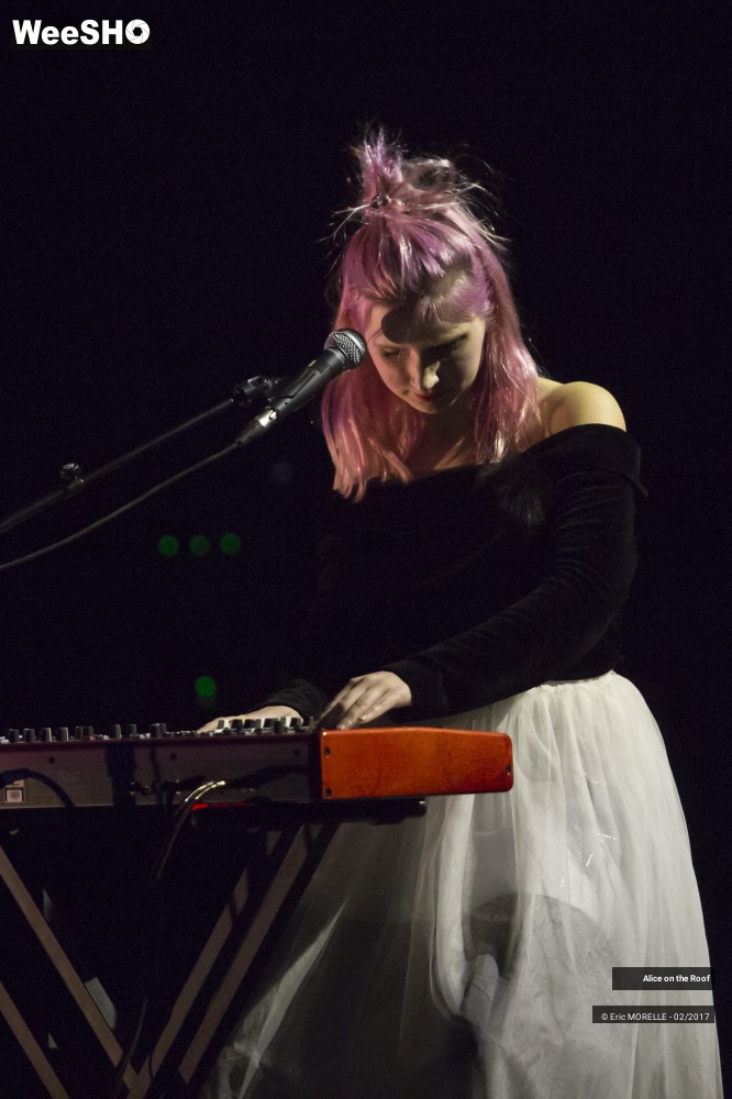 2/38 photos du spectacle Alice on the Roof