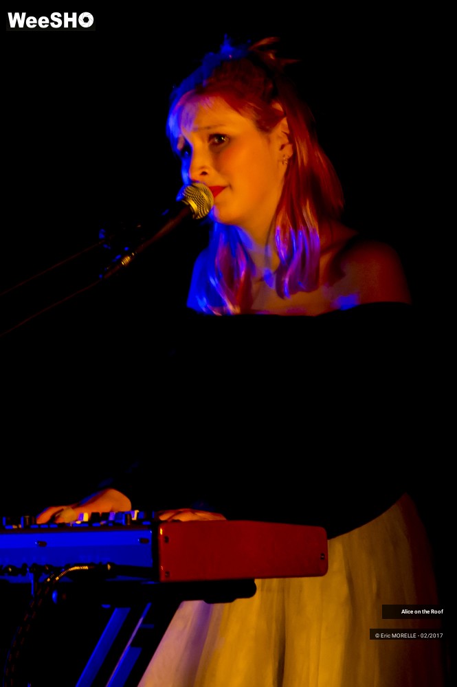 6/38 photos du spectacle Alice on the Roof