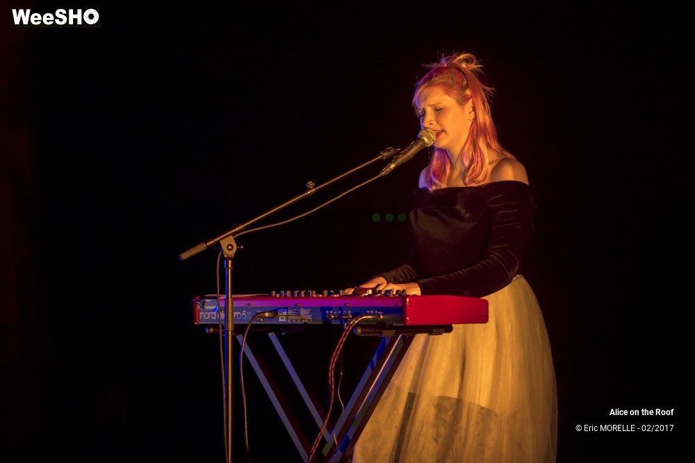 7/38 photos du spectacle Alice on the Roof