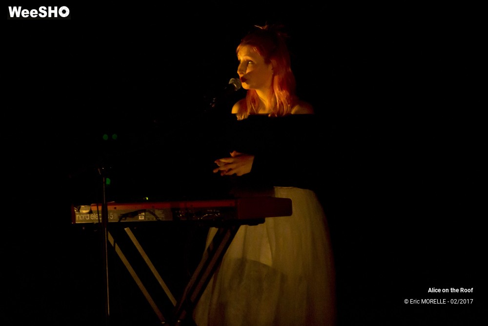 8/38 photos du spectacle Alice on the Roof