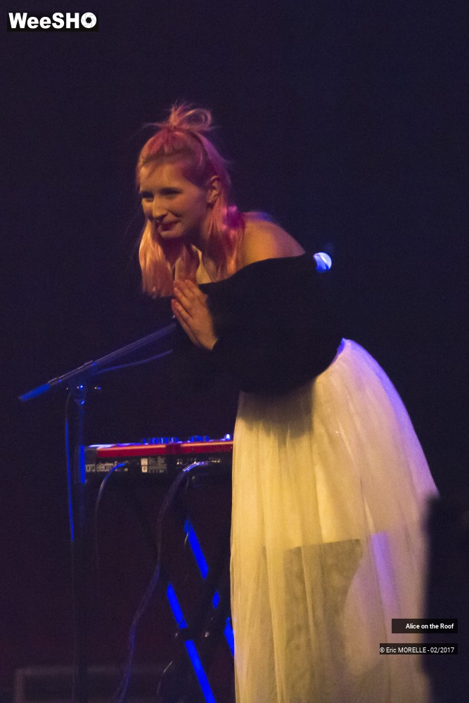 13/38 photos du spectacle Alice on the Roof