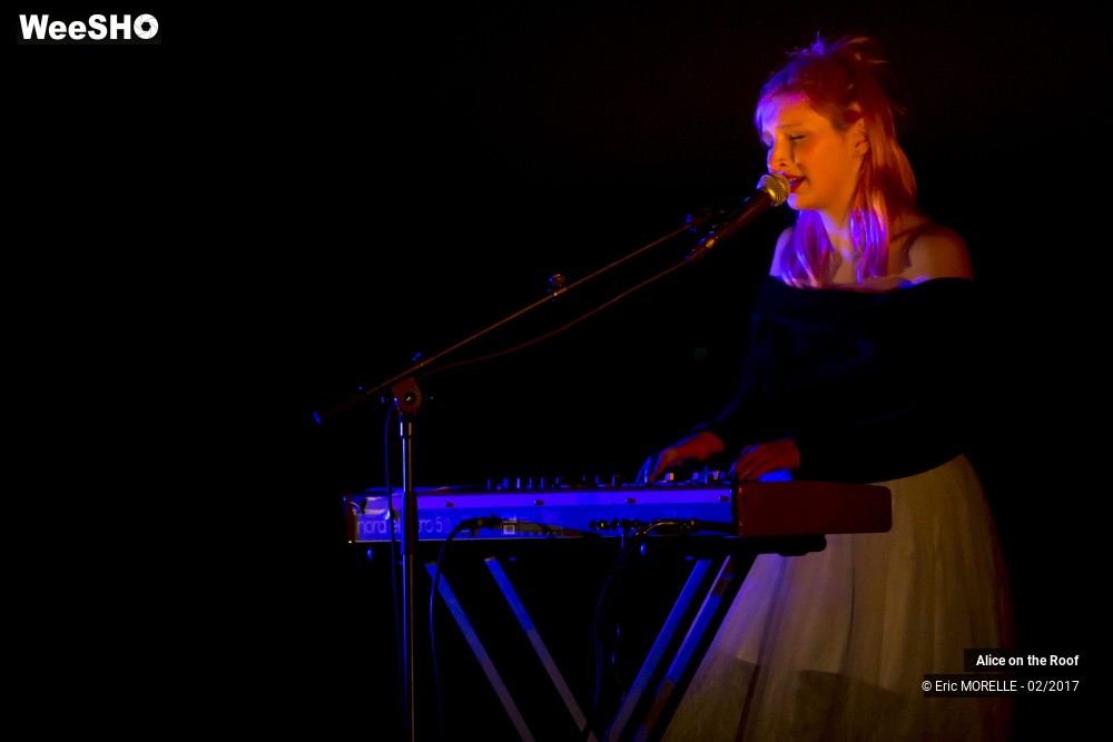 16/38 photos du spectacle Alice on the Roof