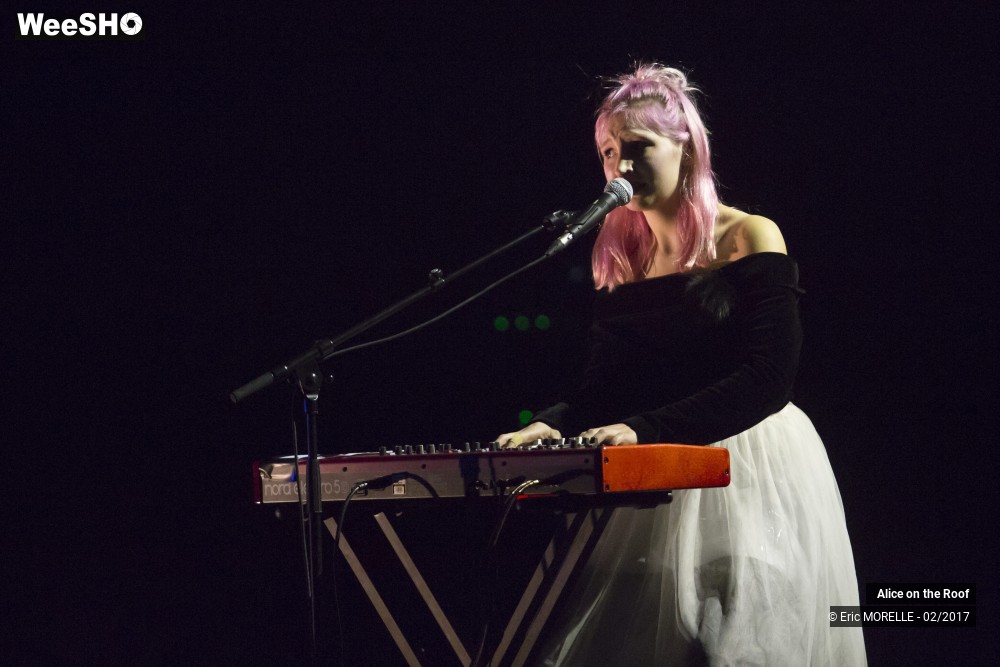 19/38 photos du spectacle Alice on the Roof