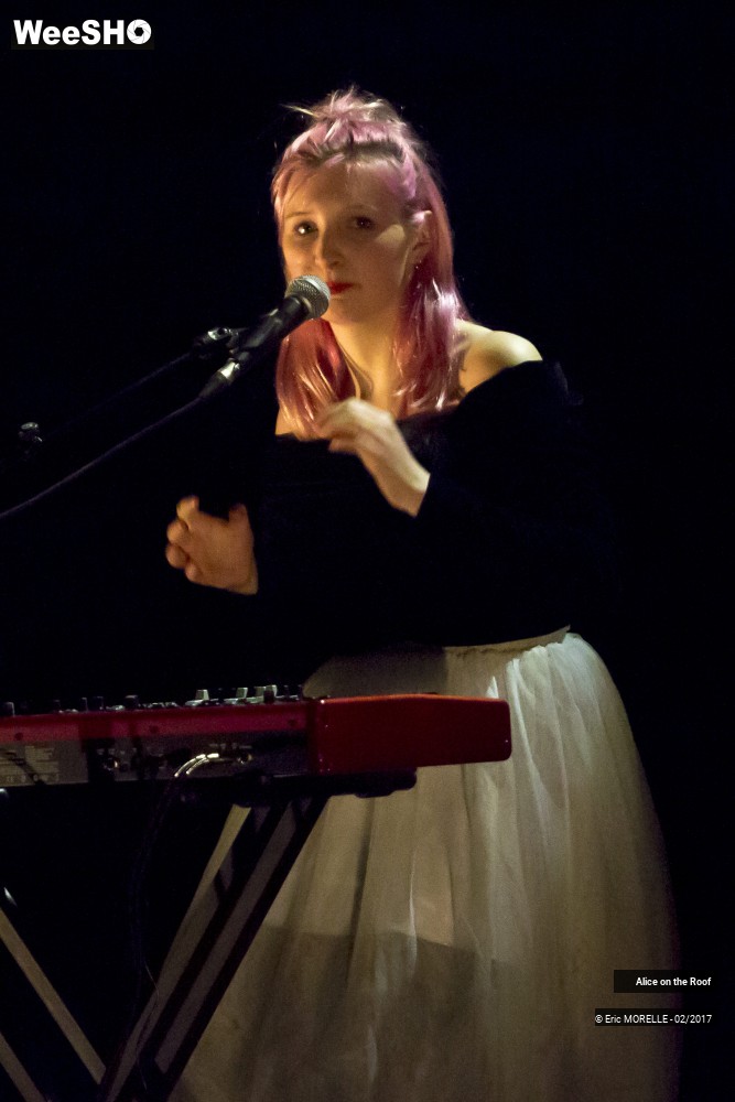 22/38 photos du spectacle Alice on the Roof