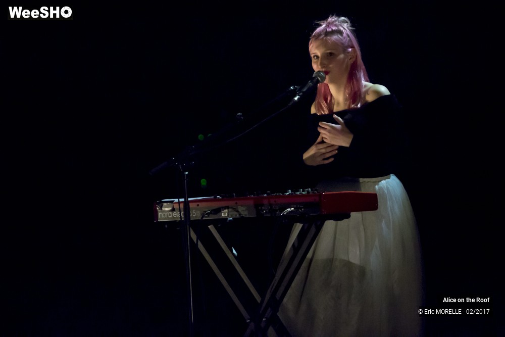 23/38 photos du spectacle Alice on the Roof