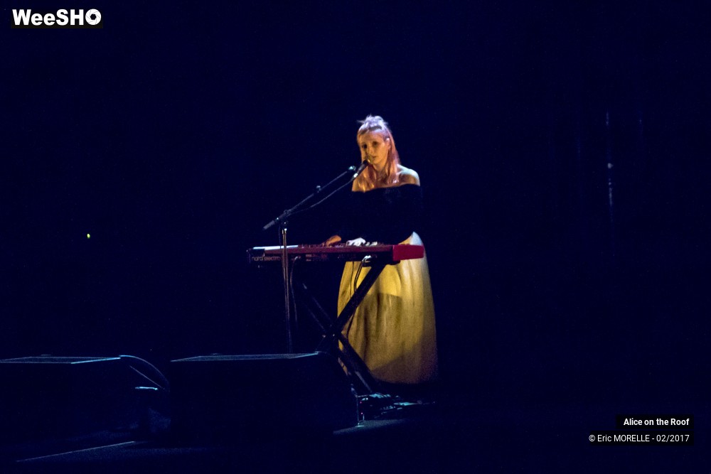 28/38 photos du spectacle Alice on the Roof